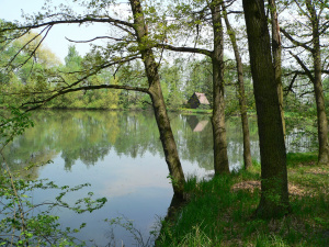 Rybník Štěpán