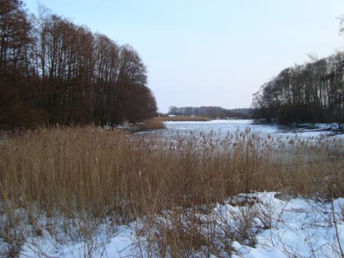 Rybník Rakovec Bohuslavice v&nbsp;zimě