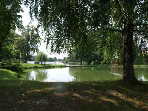 Špakovský rybník Bohuslavice