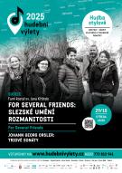 FOR SEVERAL FRIENDS: SLEZSKÉ UMĚNÍ ROZMANITOSTI 1